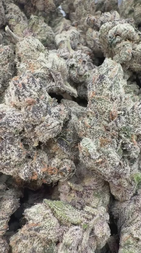 Load video: Elite Boutique Exotics Cherry Poppers - Bulk - Hybrid