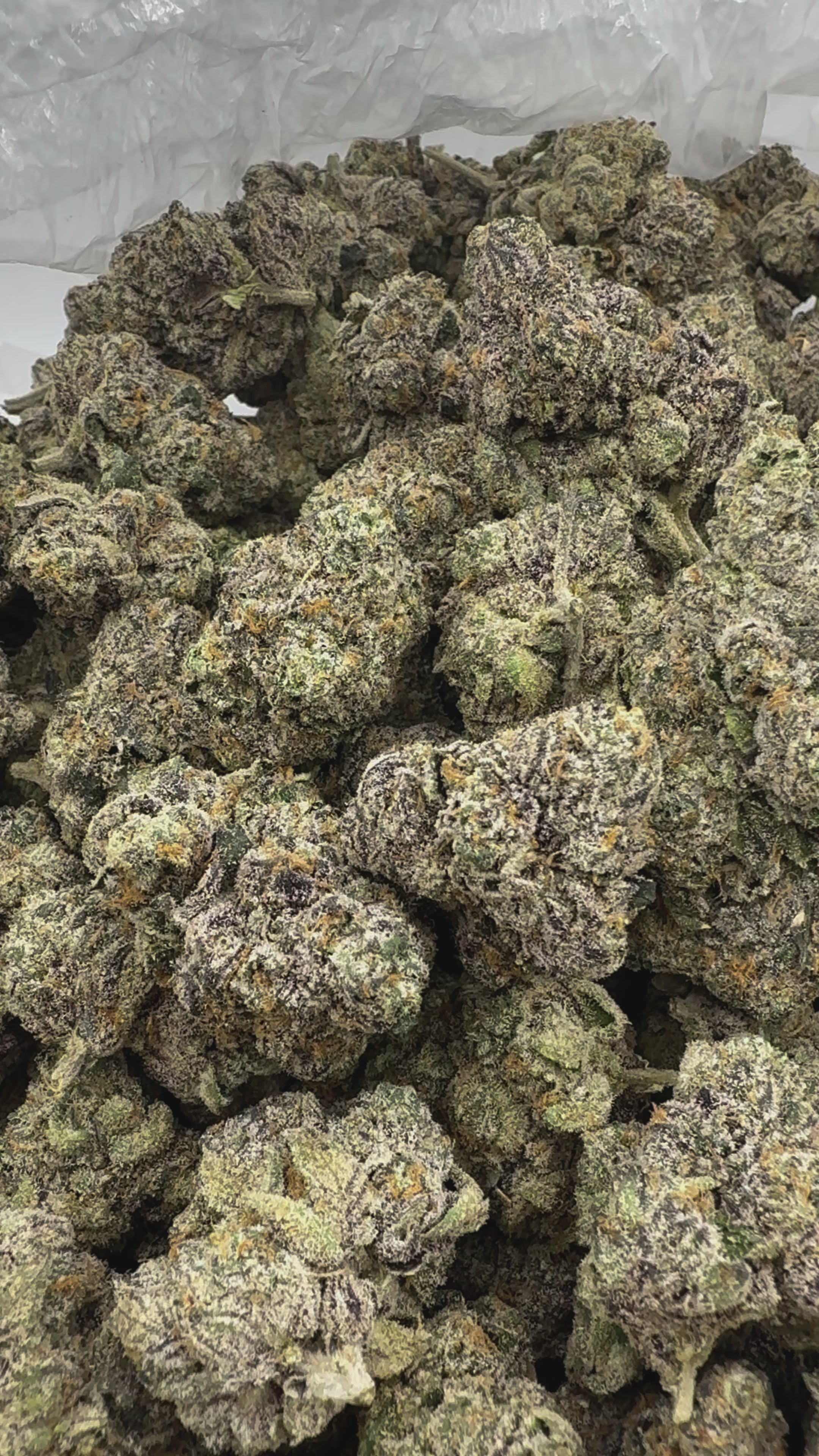 Load video: Permanent Runtz Indoor - Bulk - Hybrid