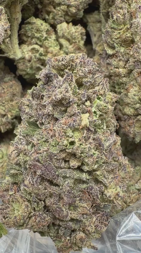 Load video: Zereal - Bulk - Hybrid