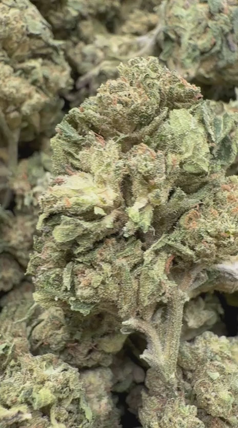 Load video: Grape Pie - Bulk - Indica