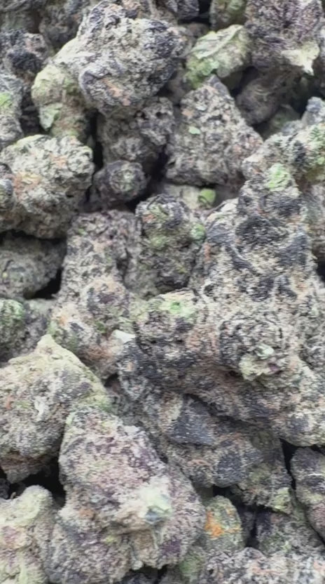 Load video: Grape Gas Indoor - Bulk - Hybrid