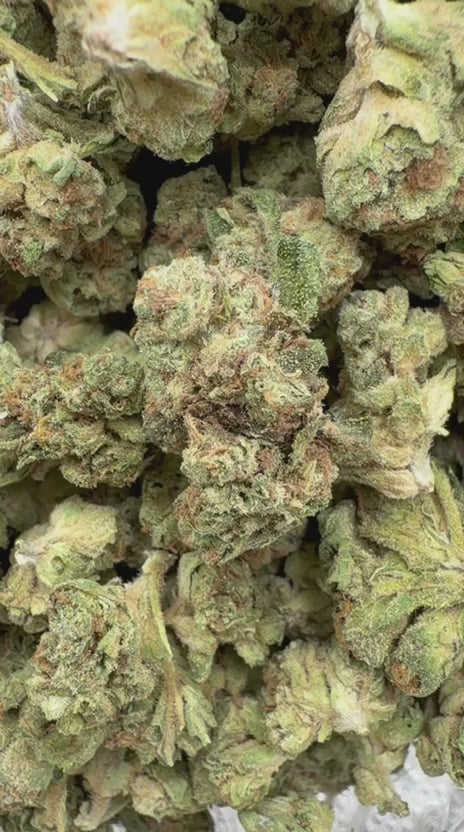 Load video: Slurty Littles - Bulk Littles - Indica