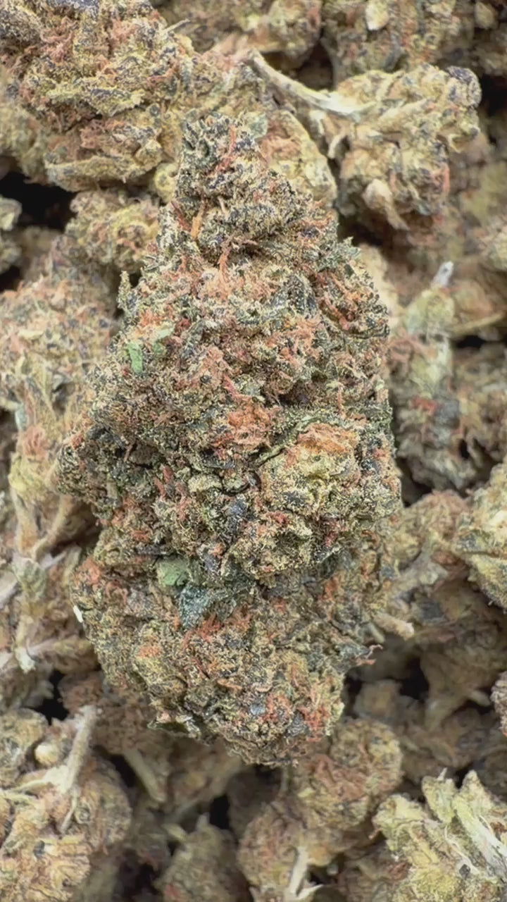 Load video: London Pound Cake 97 - Bulk - Indica