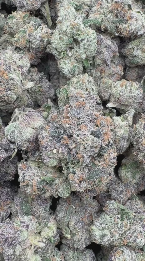 Load video: Candy Runtz Indoor - Bulk - Hybrid