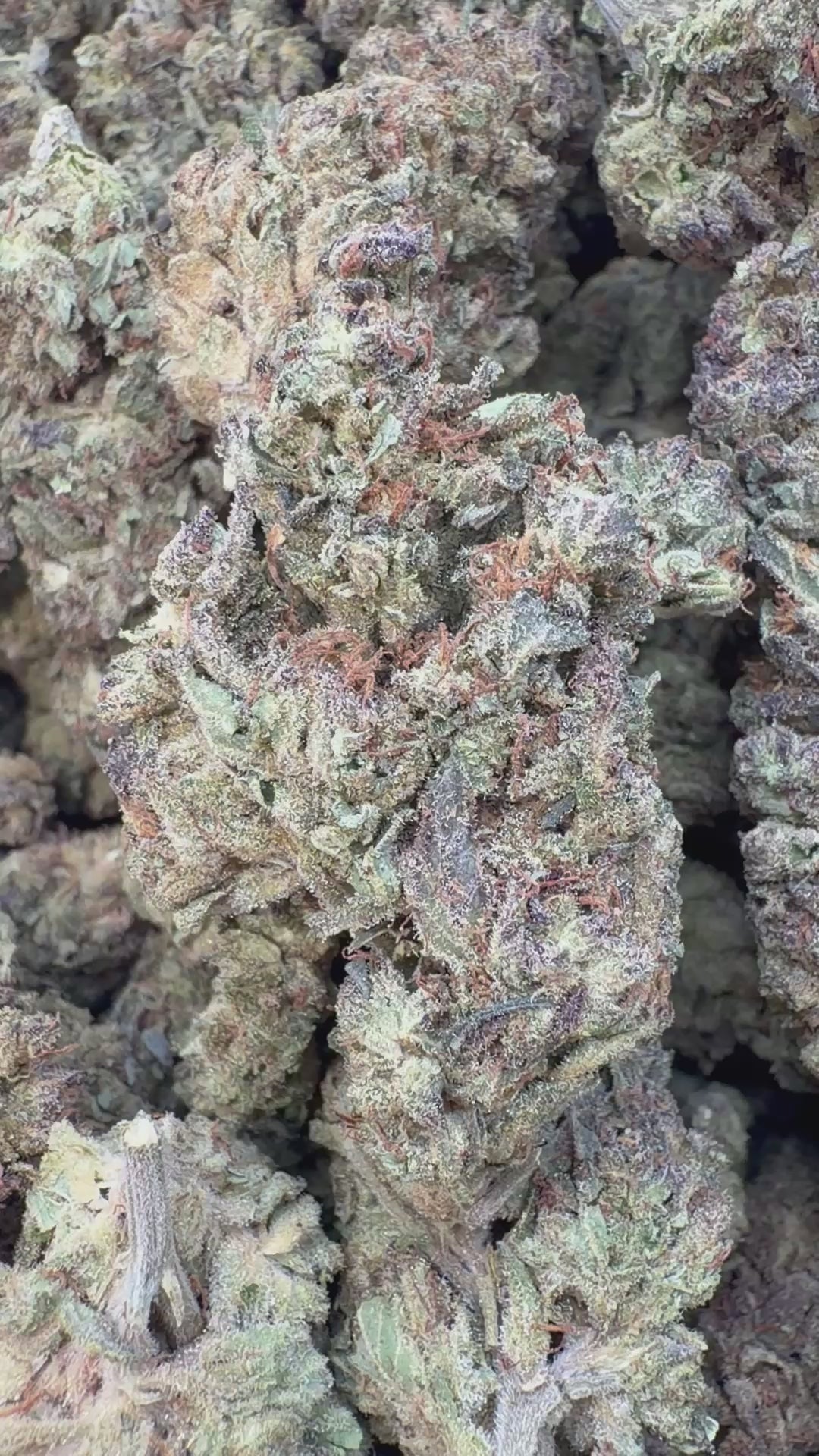 Load video: Do Si Dos - Bulk - Indica