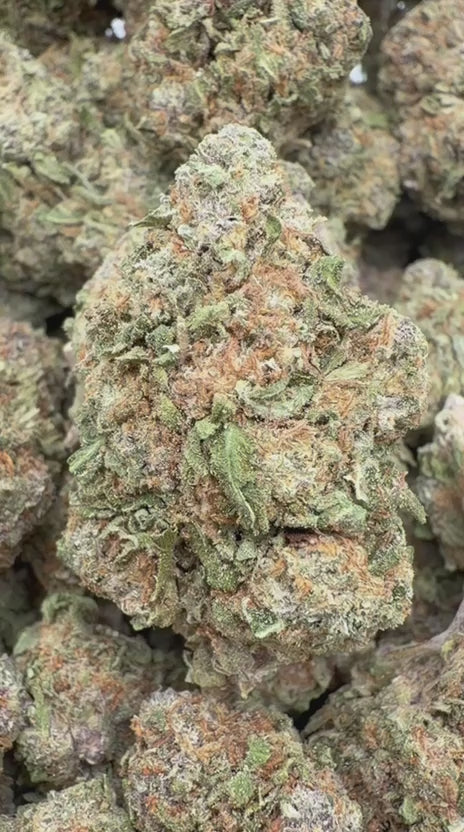 Load video: Cherry Pie - Bulk - Hybrid