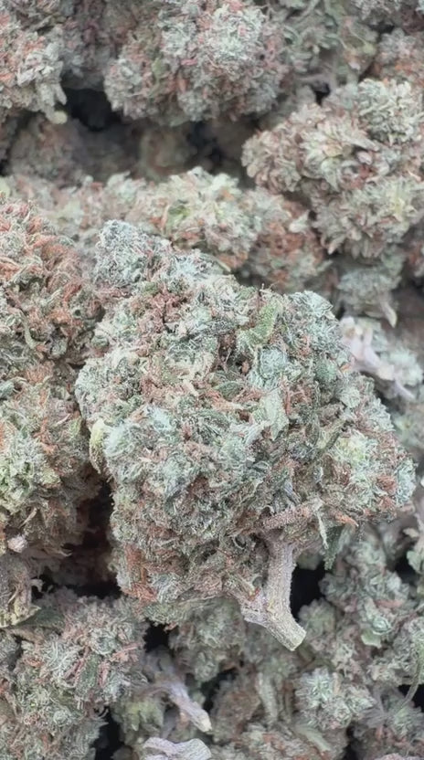 Load video: Elmer's Glue - Bulk - Hybrid
