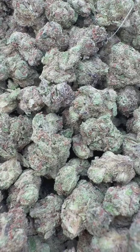 Load video: Cherry Runtz Littles - Bulk Littles - Hybrid