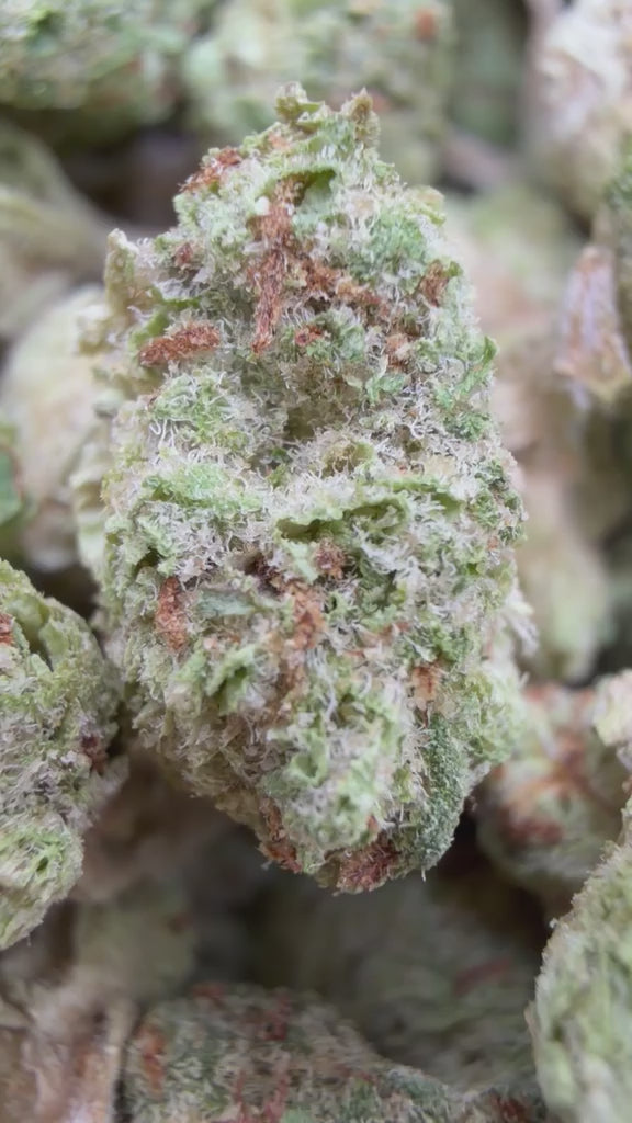 Load video: Laughing Gas Littles- Bulk Littles - Hybrid