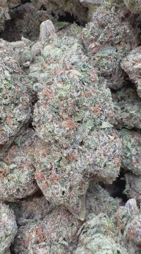 Load video: Cherry Runtz Indoor - Bulk - Hybrid