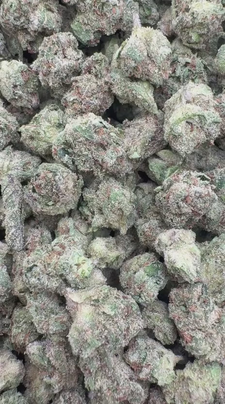 Load video: Bolo Runtz Littles - Bulk Littles - Indica