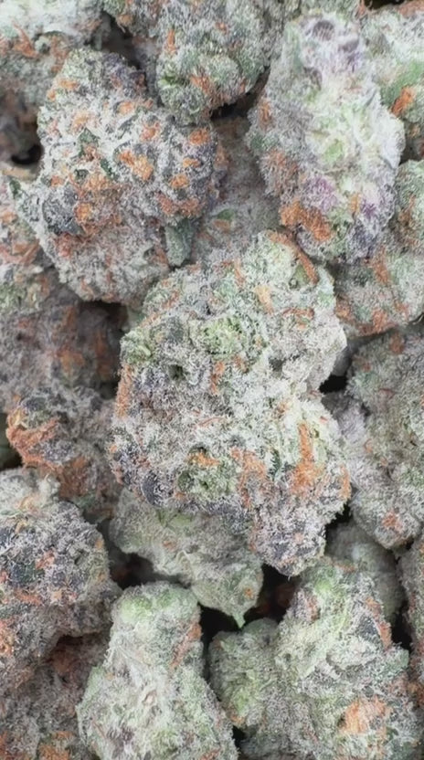 Load video: Do Si Dos Indoor - Bulk - Indica