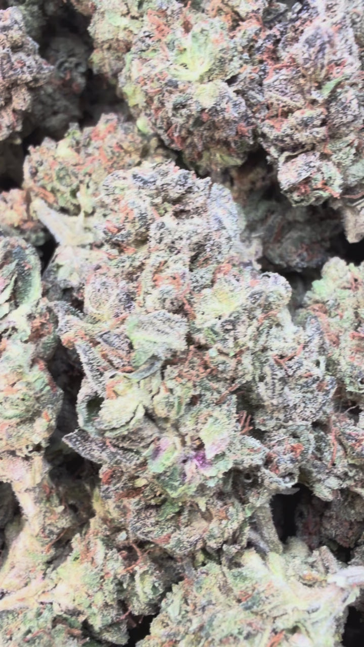 Load video: Froot By The Foot - Bulk - Indica