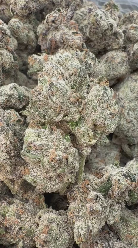 Load video: Elite Boutique Exotics A5 Wagyu - Bulk - Hybrid