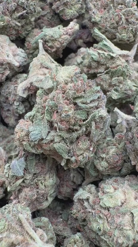Load video: Durban Poison Mediums - Bulk Mediums - Sativa