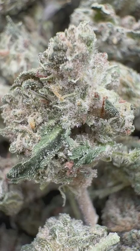 Load video: Jokerz Littles - Bulk Littles - Indica