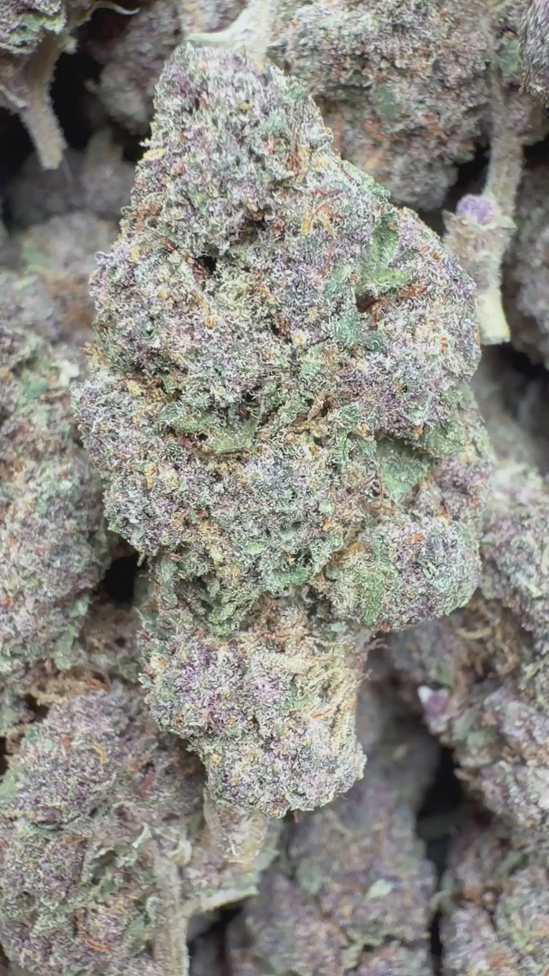 Load video: Pop Cherry - Bulk - Hybrid