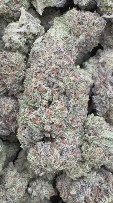 Load video: Oreo Runtz - Bulk - Hybrid