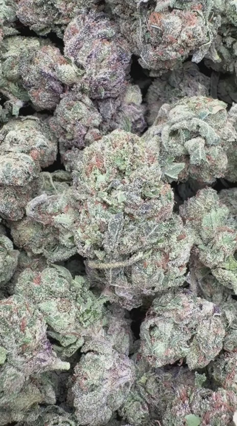 Load video: Gas Candy - Bulk - Hybrid