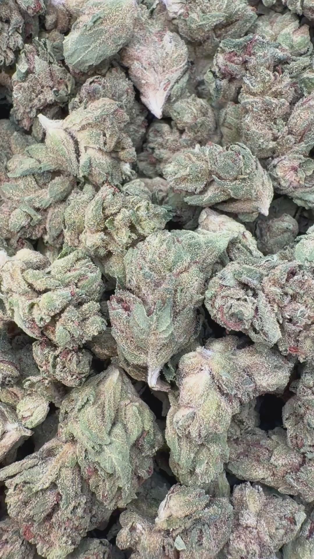 Load video: Mega OG Littles - Bulk Littles - Indica