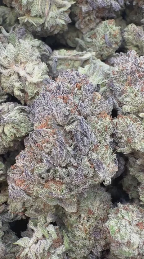 Load video: Truffle - Bulk - Indica