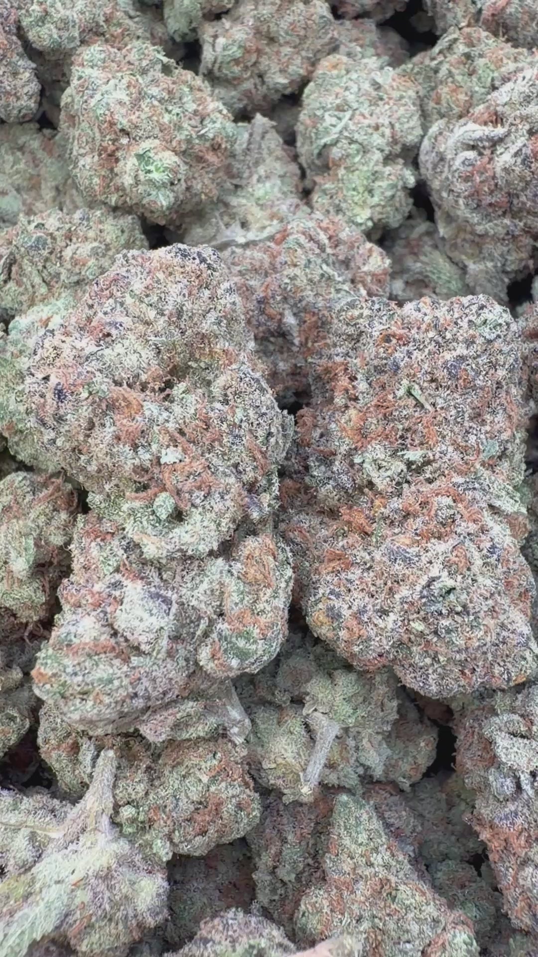 Load video: Blueberry Syrup - Bulk - Indica