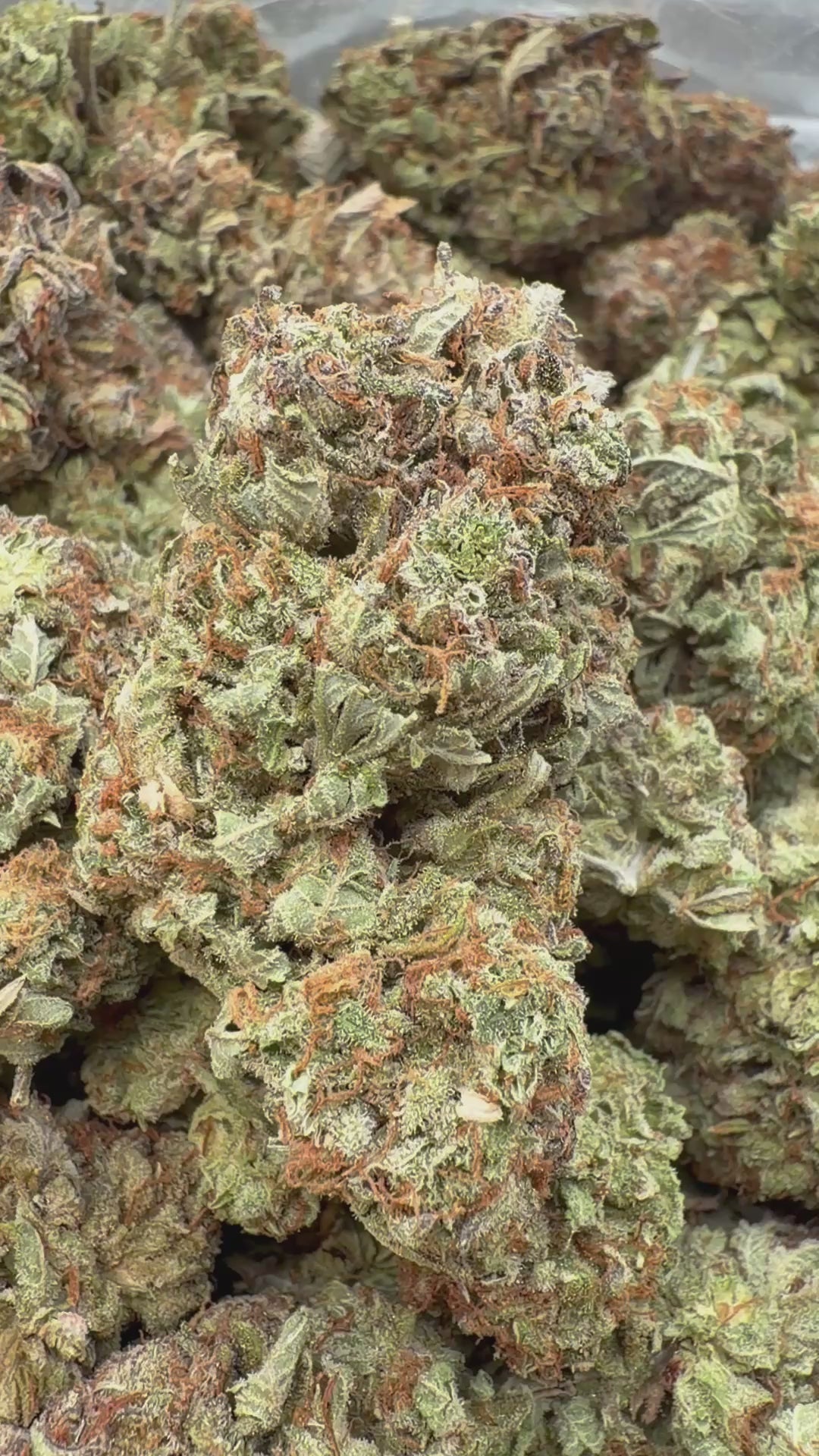 Load video: Bubba Kush Indoor - Bulk - Indica
