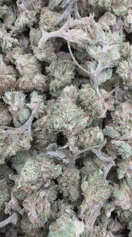 Load video: White Widow - Bulk Littles - Hybrid