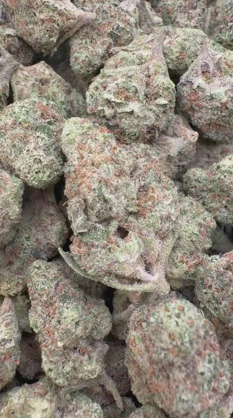 Load video: Butter Pina Mediums - Bulk Mediums - Indica