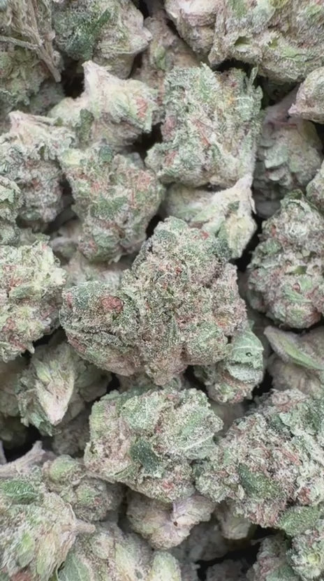 Load video: Sour Diesel Littles - Bulk Littles - Sativa