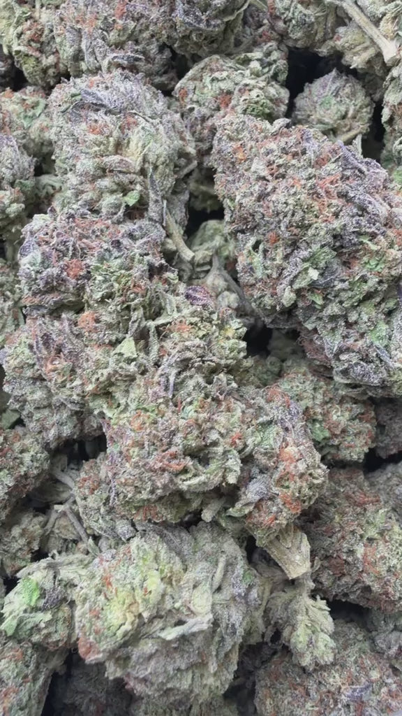 Load video: Italian Ice Cream Cookies - Bulk - Hybrid