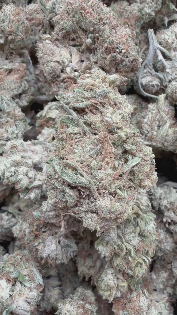 Load video: Key Lime Pie - Bulk- Indica