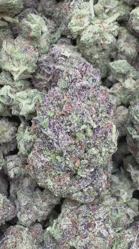 Load video: Grape Soda - Bulk - Sativa