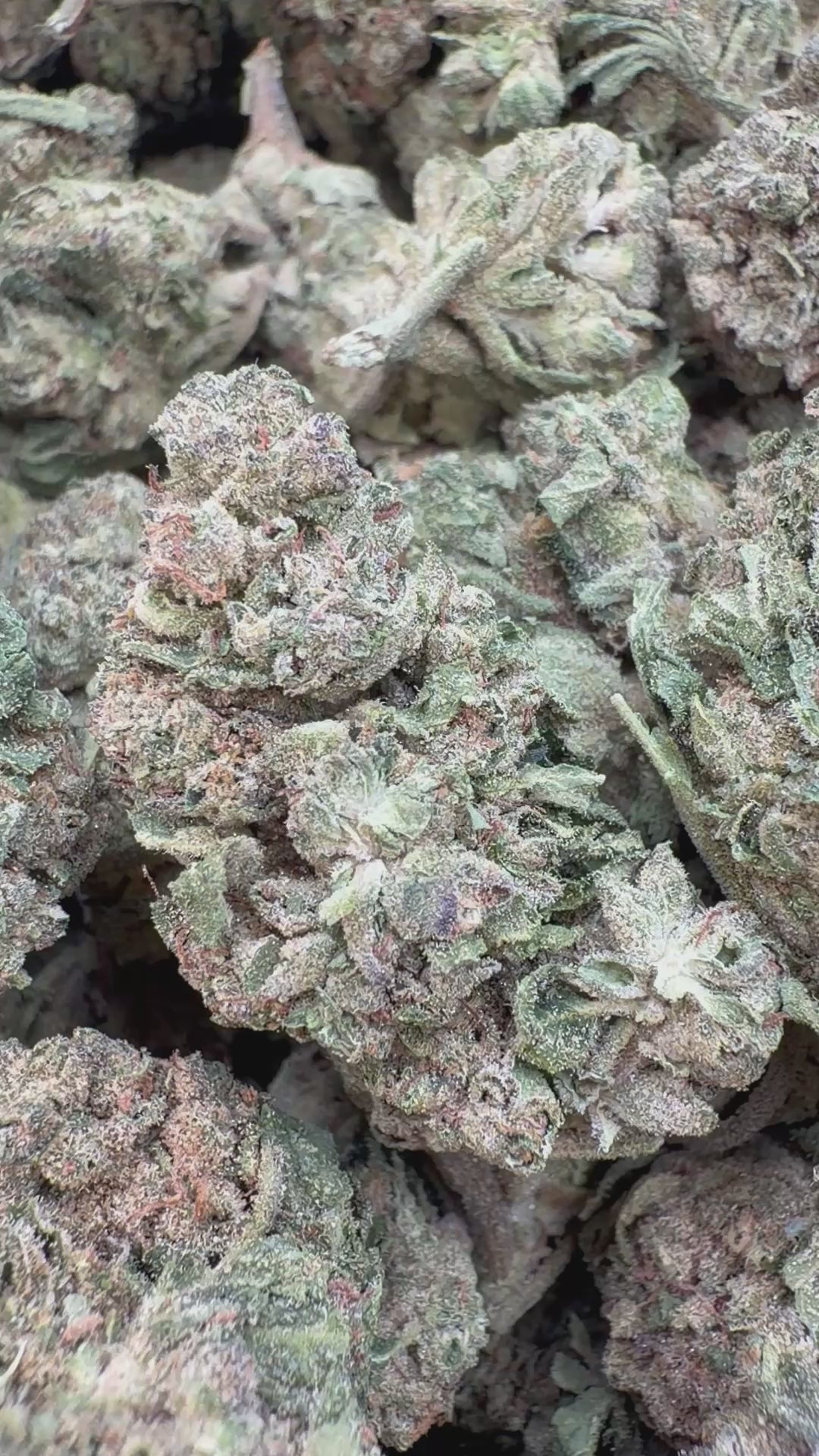 Load video: Grape Soda Littles - Bulk Littles - Sativa