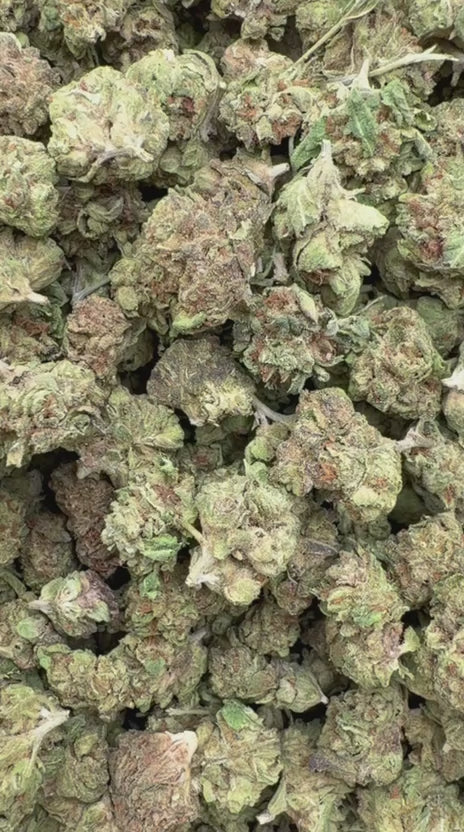 Load video: Venom OG Littles - Bulk Littles - Indica