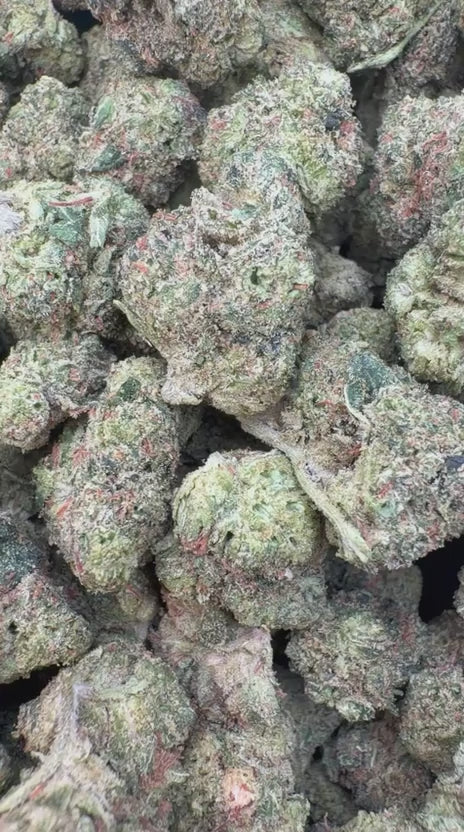 Load video: Orange Creamsicle Mediums - Bulk Mediums - Sativa
