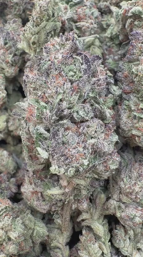 Load video: Ice Cream Cake - Bulk - Indica