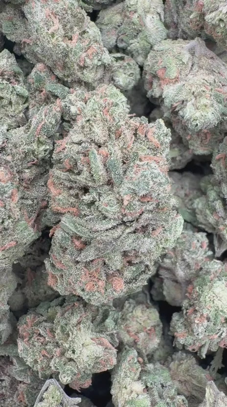 Load video: Blue Dream - Bulk - Sativa