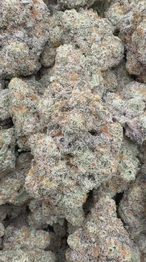 Load video: Alaskan Thunder Fuck Indoor - Bulk - Sativa