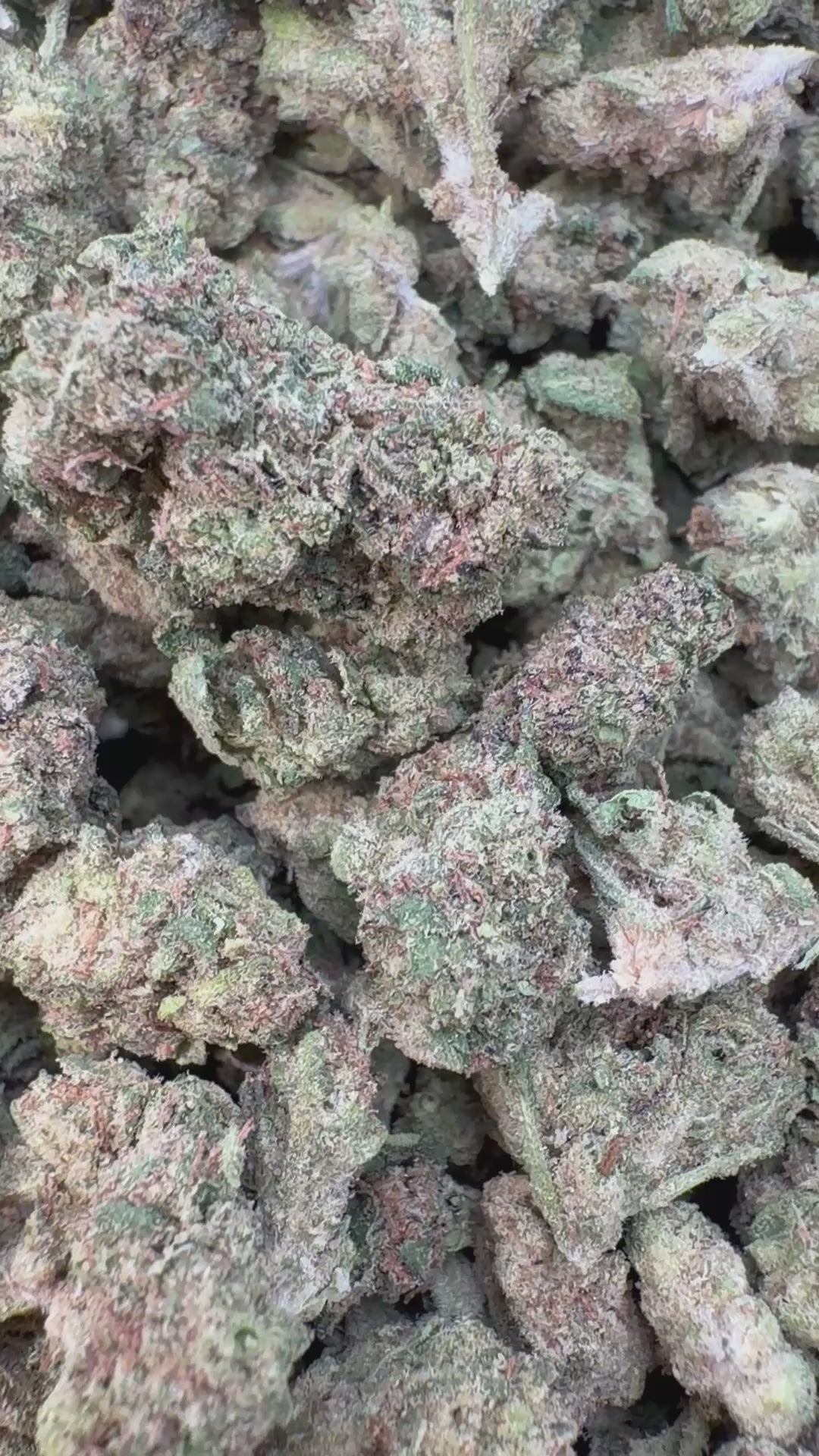 Load video: Modified Mintz Littles - Bulk Littles - Indica