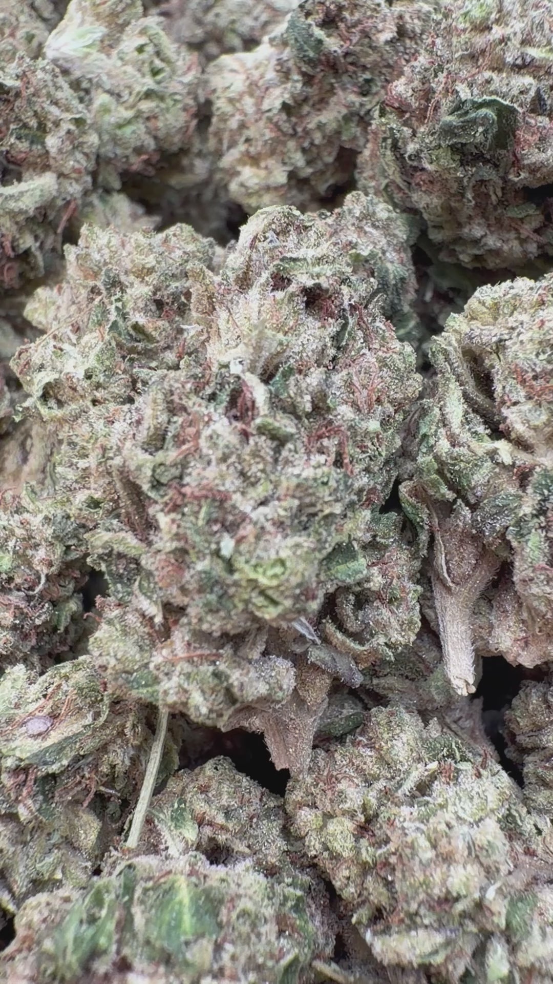 Load video: Blueberry Zkittlez Mediums - Bulk Mediums - Indica