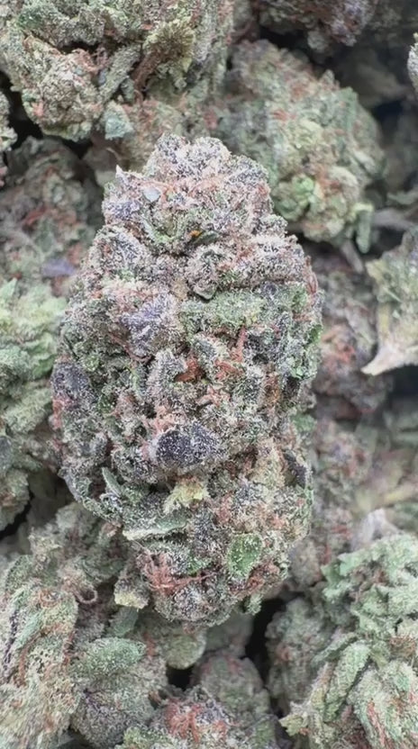 Load video: Blue Andes - Bulk - Hybrid