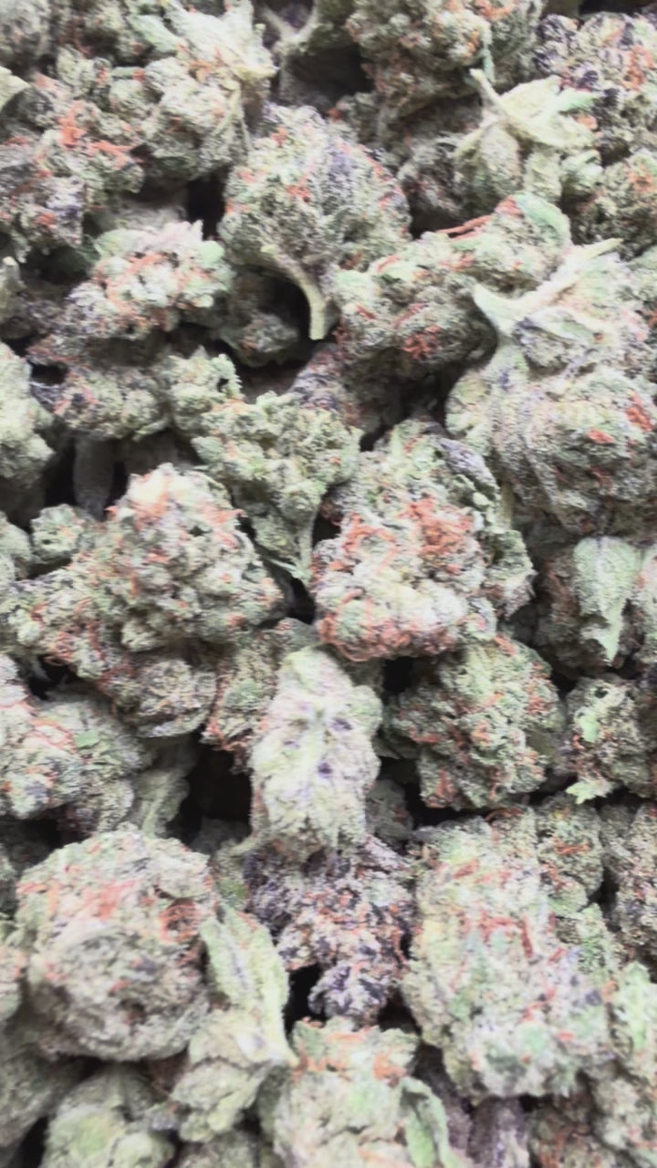 Load video: LA Pop Rocks Littles - Bulk Littles - Indica