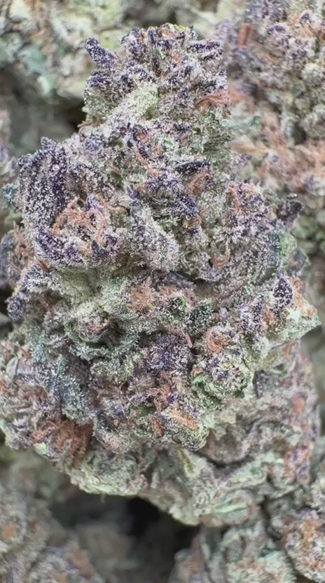 Load video: Durban Mintz - Bulk - Indica