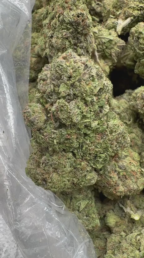 Load video: Super Candy - Bulk - Hybrid