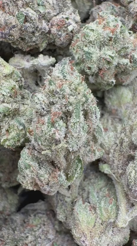 Load video: Chem Dawg Indoor - Bulk - Hybrid