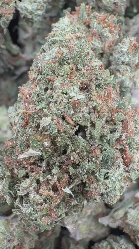 Load video: Animal Mintz - Bulk - Hybrid