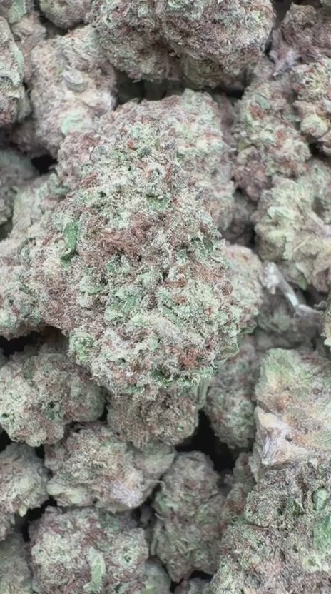 Load video: Raspberry Kush Littles - Bulk Littles - Indica