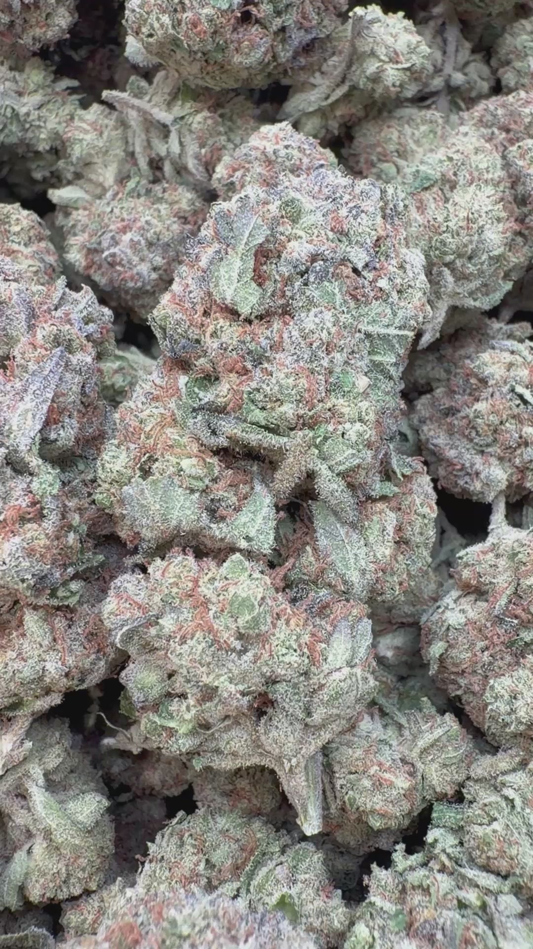 Load video: Lambs Bread - Bulk - Sativa