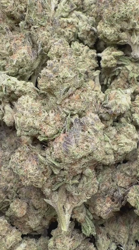 Load video: La Kush Cake - Bulk- Indica